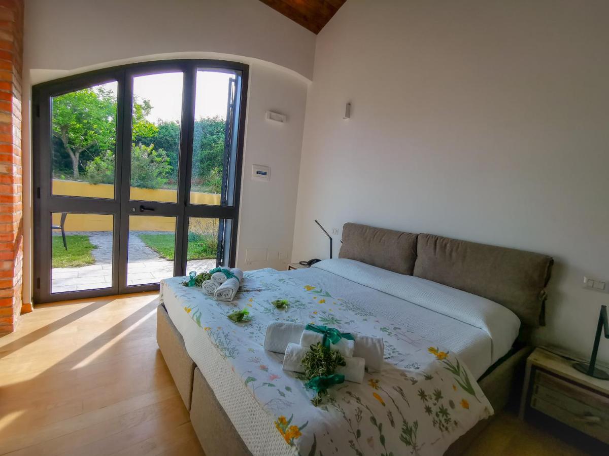 Erba Regina * Frascati