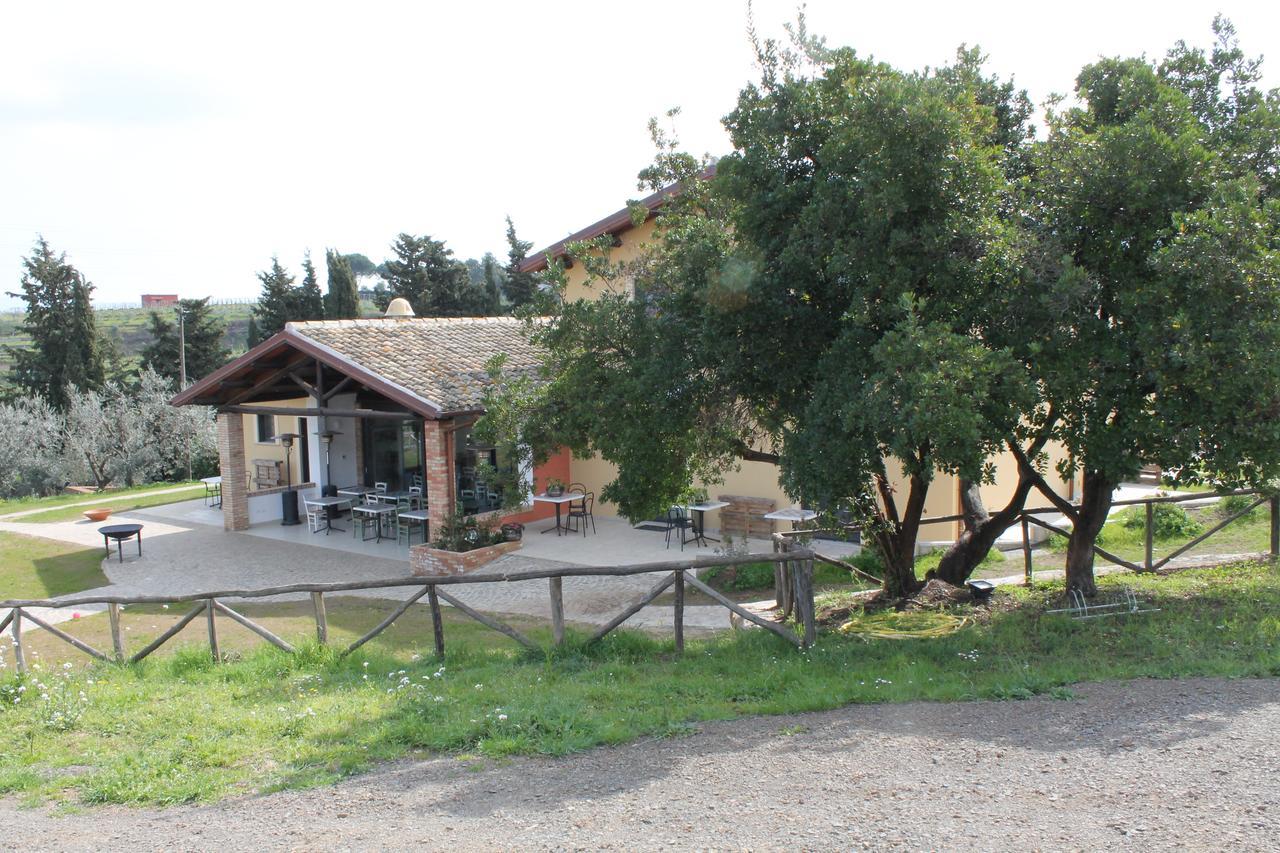 Erba Regina