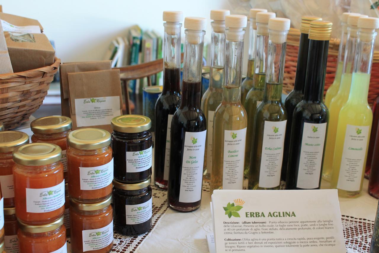 Erba Regina