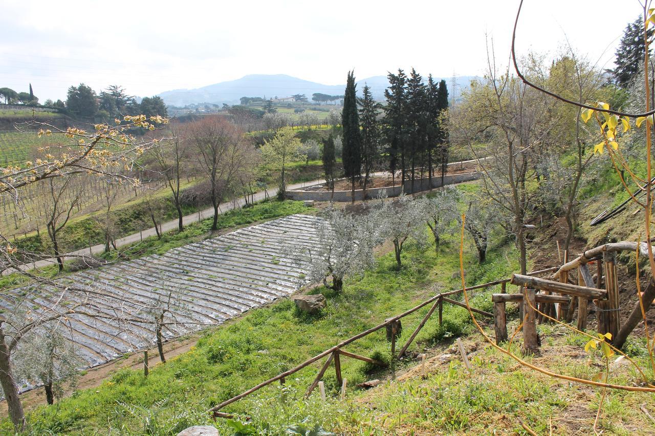 Alloggio per agriturismo Erba Regina *
